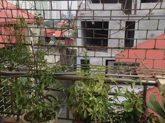 Bán Nhà Ngõ  Lĩnh Nam 38M2X6 Tầng Ô Tô Vào Tận Nhà Giá 3,8 Tỷ