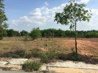 Sang Tết Con Tôi Đi Du Học Nên Nay Tôi Cần Bán Gấp Lô Đất 300m2 Thổ Cư 100%, Sổ Hồng Riêng