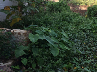 Bán 37M2 Đất Thôn Đại Tự, Kim Chung, 560 Triệu.