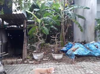 Cần Bán Đất 7M5 Khu C, Sát Phạm Hùng, Hòa Xuân, Cẩm Lệ, Đà Nẵng