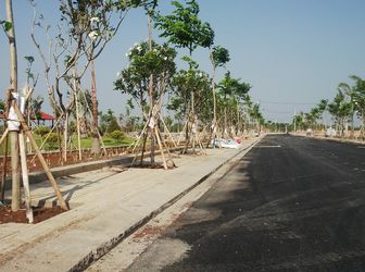  Đất Thị Trấn Cần Đước,kdc Lớn Nhất Khu Vực Gần Chợ, Gần Trung Tâm Hành Chính, Chỉ 320Tr/nền.