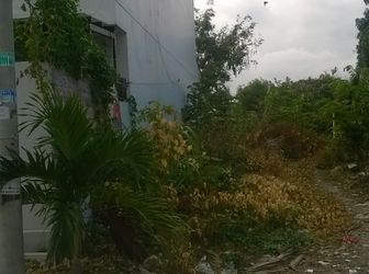 Bán 90M2 Đất Thổ Cư, Shr, Hướng Tây Bắc Thuộc Làng Đh B Với Giá 3,9 Tỷ 