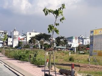 Đất Mặt Tiền Đường Nguyễn Văn Quá, Đông Hưng Thuận, Q12, 104M2, Shr