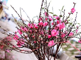 Bán Nhà Hiếm, Ô Tô Vào Nhà 35M, 4 Tầng, Mt 3,5M Chỉ 2,95 Tỷ Tại Nguyễn An Ninh