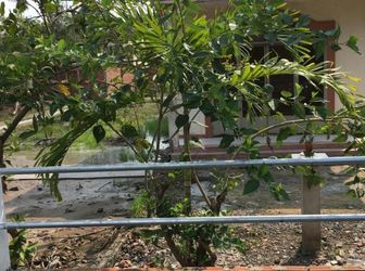 Gđ Chuyển Về Q3 Cần Bán Lô Đất Thổ Cư Dt 1030M2 Gần Đường Thạnh Xuân 52, Giá 7 Tỷ