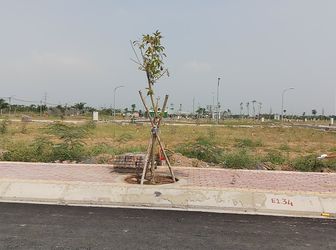 Nhận Lộc Đầu Năm, Nhanh Tay Nhận Vàng, Chỉ Duy Nhất Cho 5 Vị Khách May Mắn Đầu Tiên