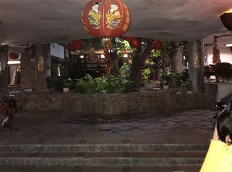 Bán Nhà Kinh Doanh Cafe Vườn 3 Tầng Rất Đẹp Đường Quang Trung – Q. Hải Châu 