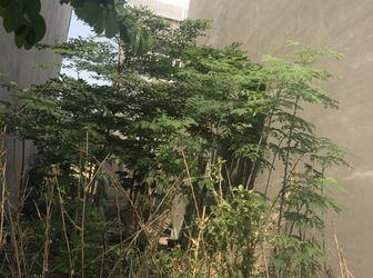 Cần Vốn Bán Nhanh Đất Nền Khu Công Ích. Dt 5X16M. Hướng Đông. Giá 5.2 Tỷ 