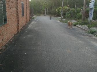 Đất Nền Tân Định Thuộc Dự Án Khu Dân Cư Tân Định 