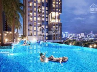 Tại Sao Chúng Ta Phải Chọn Kingdom Là Nơi Để An Cư