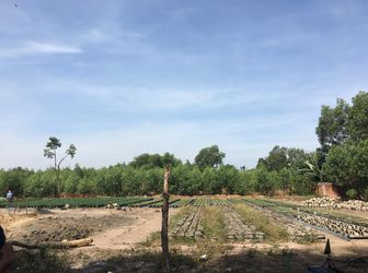 Bán Đất Gần Trường Tiểu Học Phước Thái Giá Chỉ 480Tr/nền