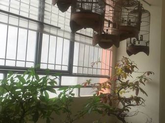 Xách Đồ Về Ở Luôn, Nhà Tam Trinh Cực Chất, Dt35Mx6T, Sđcc, Giá Chỉ 2.9 Tỷ.