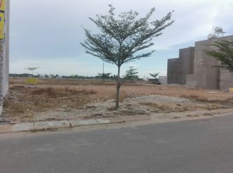 Người Thông Minh Chọn Mua Đất Thông Minh.