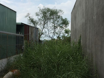 Bán Nhanh Lô Đất Hẻm 2503 Huỳnh Tấn Phát .Diện Tích 5X17M. Hướng Tây .Giá 1.65 Tỷ .