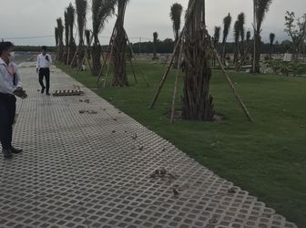 Nhận Giữ Chỗ Đất Huyện Bình Chánh View Đẹp Đảm Bảm Sinh Lời Cao 15-20% Lh 0933244901!