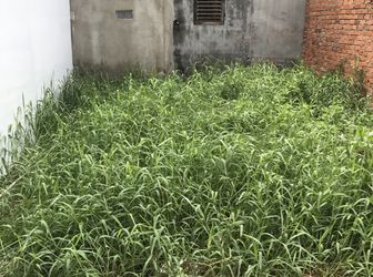 Cần Vốn Bán Nhanh Lô Đất 1135 Htp. Dt 5.5X9.2M. Giá 2.45 Tỷ.