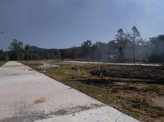 Cần Ra Đi Gấp 5 Nền Mặt Tiền Búng Gội 42M - Shr - Sinh Lời Cao