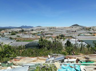 Bán Đất Đường Trịnh Hoài Đức, Phường 11, Đà Lạt - 1381M2 - 23,5 Tỷ Đ2395