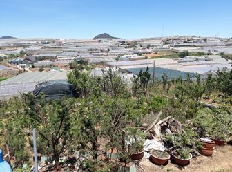 Bán Đất Đường Trịnh Hoài Đức, Phường 11, Đà Lạt - 1381M2 - 23,5 Tỷ Đ2395