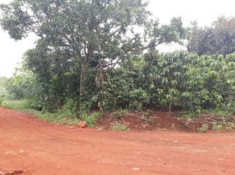 Bán Đất Tà Nung, Đà Lạt - Dt 750M2 - Giá 1,8 Tỷ Đ2409