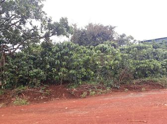 Bán Đất Tà Nung, Đà Lạt - Dt 750M2 - Giá 1,8 Tỷ Đ2409