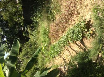 Bán Đất Gần Cầu Bạch Yến - Dt:183M- Giá 777 Triệu