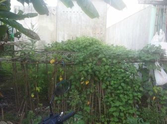 Bán Nền Hẻm 170 Hoàng Quốc Việt An Bình Ninh Kiều Cần Thơ