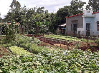 Cần Bán Gấp Lô Đất Tại Hẻm Đường E