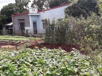 Cần Bán Gấp Lô Đất Tại Hẻm Đường E