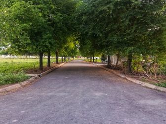 Cần Bán Gấp 811 M2 Đất Biệt Thự View Trực Diện Sông Lớn, Ngang 25M, Full Thổ Cư.