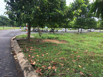 Cần Bán Gấp 811 M2 Đất Biệt Thự View Trực Diện Sông Lớn, Ngang 25M, Full Thổ Cư.