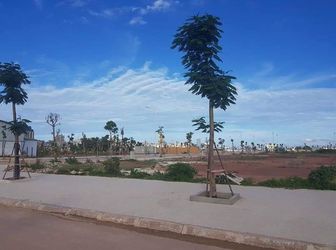 Bán Đất Nền Móng Cái