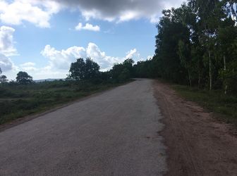 Bán Đất Mặt Đường To 300M Khu Dân Cư Đồng Mát, Tân An, Quảng Yên