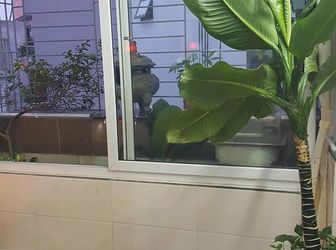 Lê Trọng Tấn Yêu Thương – Nhà Đẹp Ô Tô Chỉ 4.7 Tỷ.