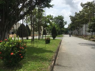 Cần Bán Gấp Miếng Đất Nằm Gần Bệnh Viện Nội Tiết Trung Ương Tp.hcm