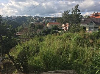 Bán Đất Đường Hoàng Hoa Thám, Phường 10, Đà Lạt - 1000M2 - 8,5 Tỷ Đ2692