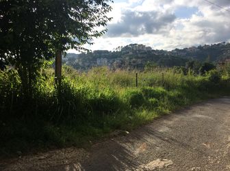 Bán Đất Đường Hoàng Hoa Thám, Phường 10, Đà Lạt - 1000M2 - 8,5 Tỷ Đ2692