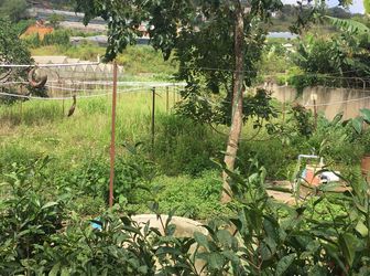 Bán Nhà Đường An Bình, Phường 3, Đà Lạt - 2136,5M2 - 25 Tỷ N2745