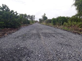 Mua 1 Lợi 2 Chỉ Với 750 Triệu 500M2 -Đất Vàng  Bến Lức Long An  -Giá Chỉ Từ 1,5 Triệu /M2 , 