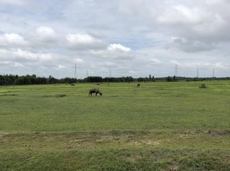 Đất Nền Xã Vĩnh Thanh, Nhơn Trạch Gần Vành Đai 3