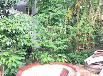 Bán Nền Đường Số 10 Khu dân cư Diệu Hiền, Cái Răng, Tp. Cần Thơ.