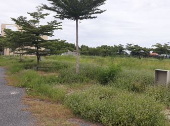 Hot. Đất Nền Thổ Cư 100% Bến Lức Long An. Sổ Hồng Riêng Chỉ Từ 430Tr. Sang Tên Công Chứng Ngay. 0937283933