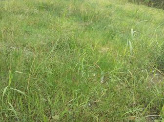 Cần Bán Gấp Lô Đất 420M2 Đường Song Hành Quốc Lộ 22 - Giá 1,6 Tỷ - LH: 01266.931.399