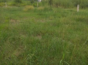 Cần Bán Gấp Lô Đất 420M2 Đường Song Hành Quốc Lộ 22 - Giá 1,6 Tỷ - LH: 01266.931.399