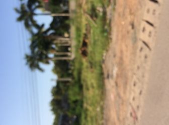 Bán Đất Tại Tam Phước, An Phước, Biên Hoà, Bà Rịa - Vũng Tàu