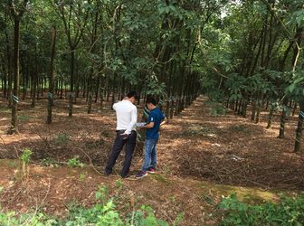 Đất Phước Bình - Long Thành Chỉ 300Tr/100M2 ,shr,cam Kết Sinh Lời