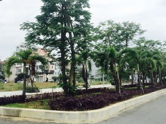 Bán Đất Mặt Tiền Quận Hải Châu, Đường Bùi Viện, Ven Sông Giá Rẻ