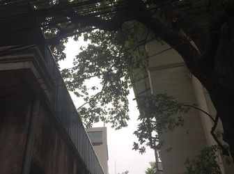 Cần Bán Đất Thổ Cư Phố Vũ Tông Phan. Ô Tô Vào Tân Nhà