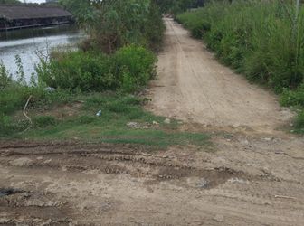 Cần Bán Lô Đất Thổ Vườn 4500M2= 90X50M, Chỉ 5.5 Triệu/m2 Hẻm Xe Tải Sổ Hồng Riêng Tại Nhà Bè