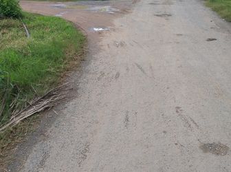 Đất 2 Mặt Tiền Thổ Cư Đường Cây Trôm Tại Phước Hiệp Củ Chi, Shr, 750 Triệu